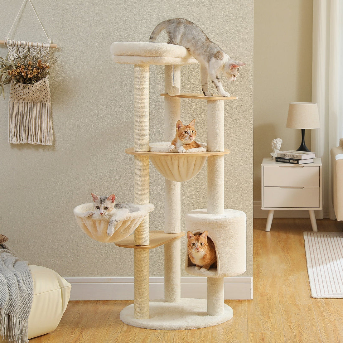 Maine Coon Kratzbaum Ratgeber