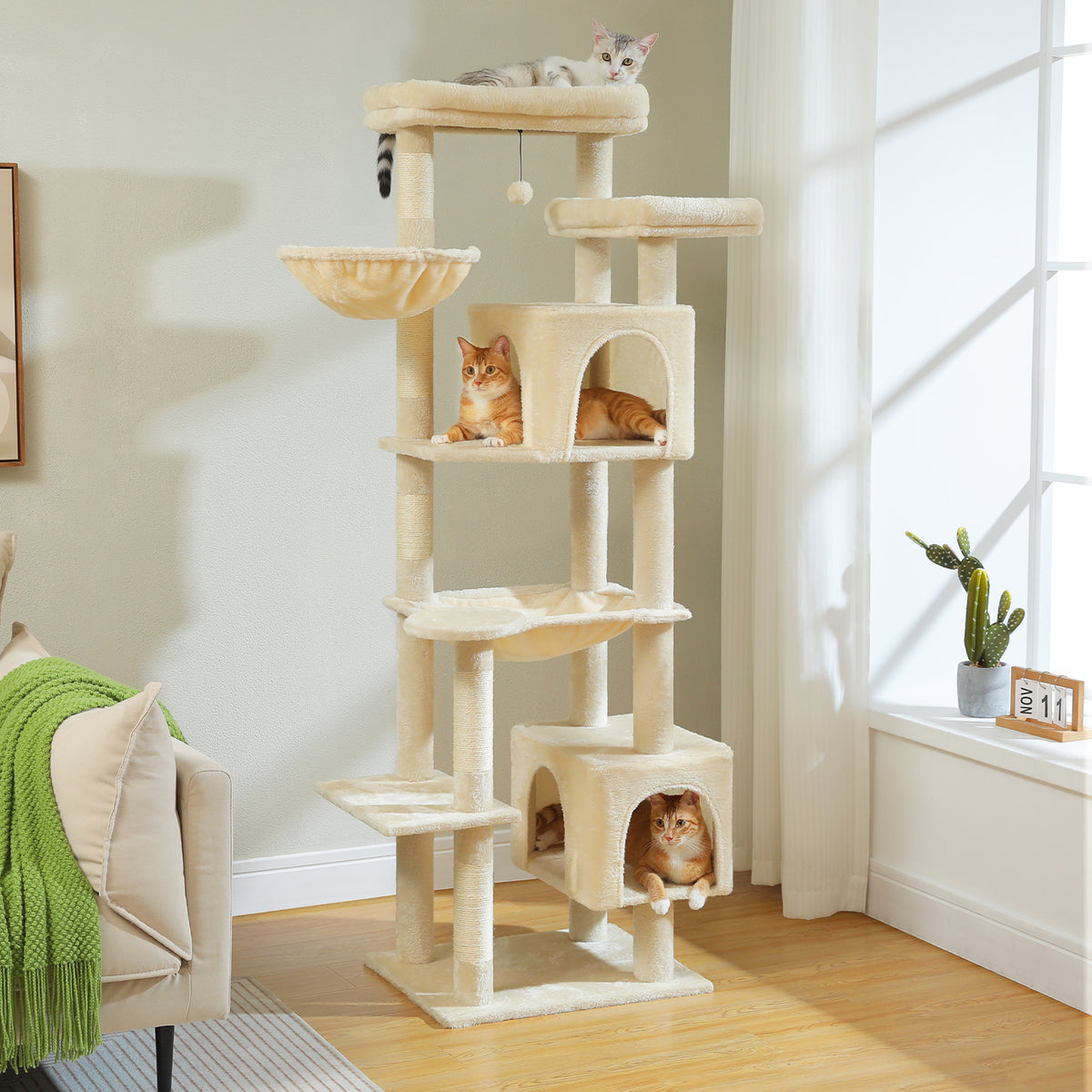 Cream plush multi-level cat tree in a bright room, orange tabby resting in the condo and grey tabby on the top perch