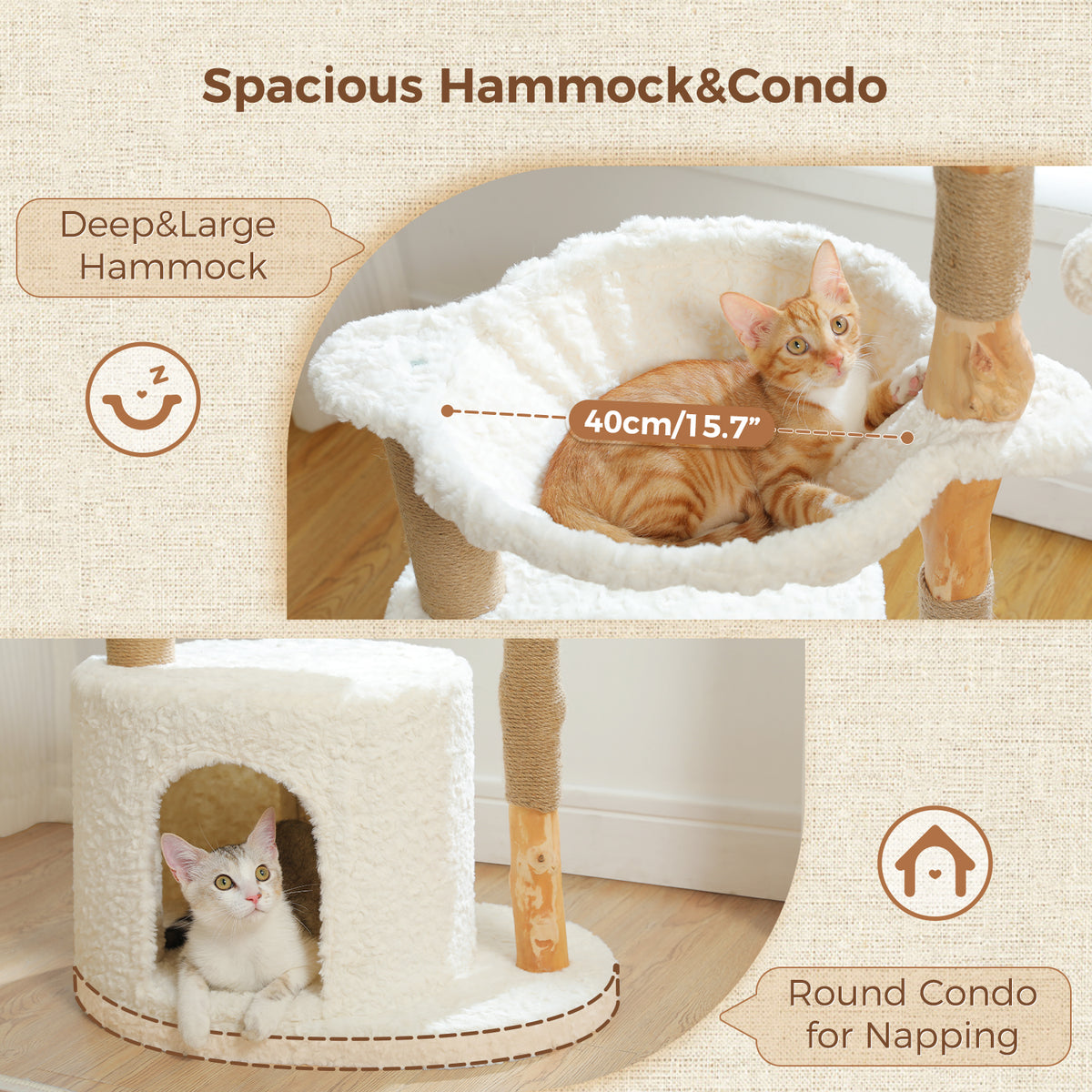 Feature graphic titled Spacious Hammock and Condo, orange tabby in the deep hammock and kitten in the round condo