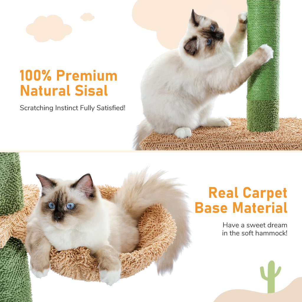 Split infographic: cream cat stretches to scratch the green sisal post while another naps in the beige carpet hammock