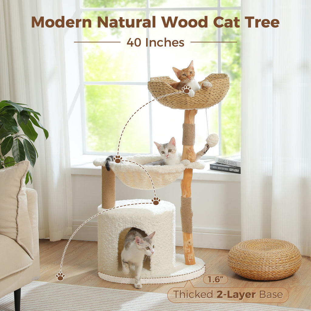 White real-branch cat tree with dashed climbing path and three kittens, labeled Modern Natural Wood Cat Tree 40 inches
