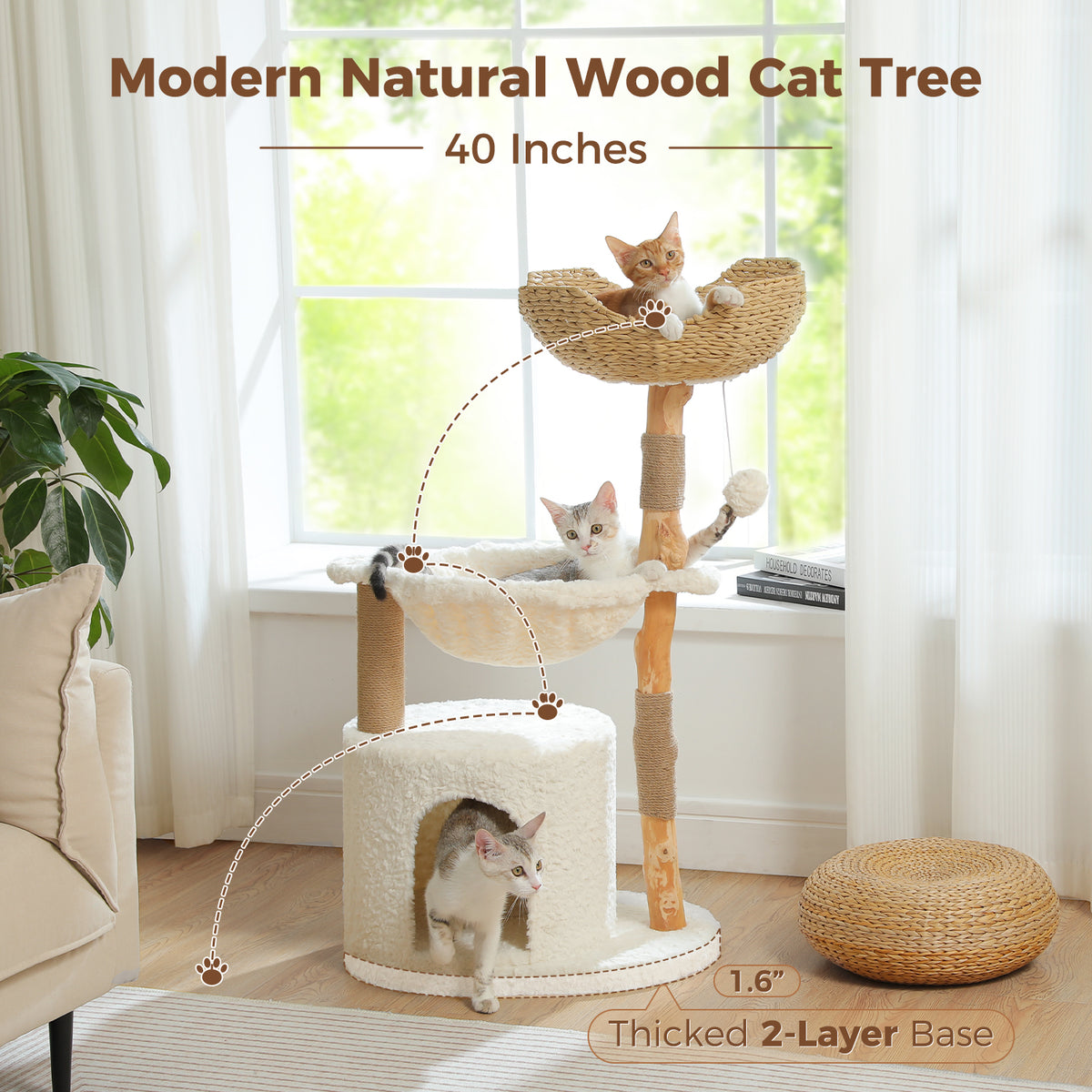 White real-branch cat tree with dashed climbing path and three kittens, labeled Modern Natural Wood Cat Tree 40 inches