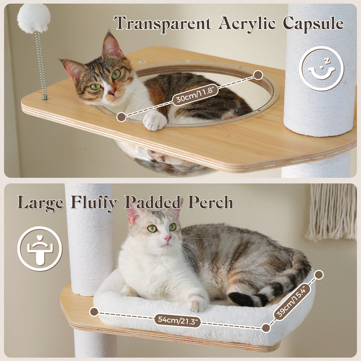 Feature panels of the cat tree: tabby curled in the transparent acrylic capsule and a cat on the XL fluffy perch