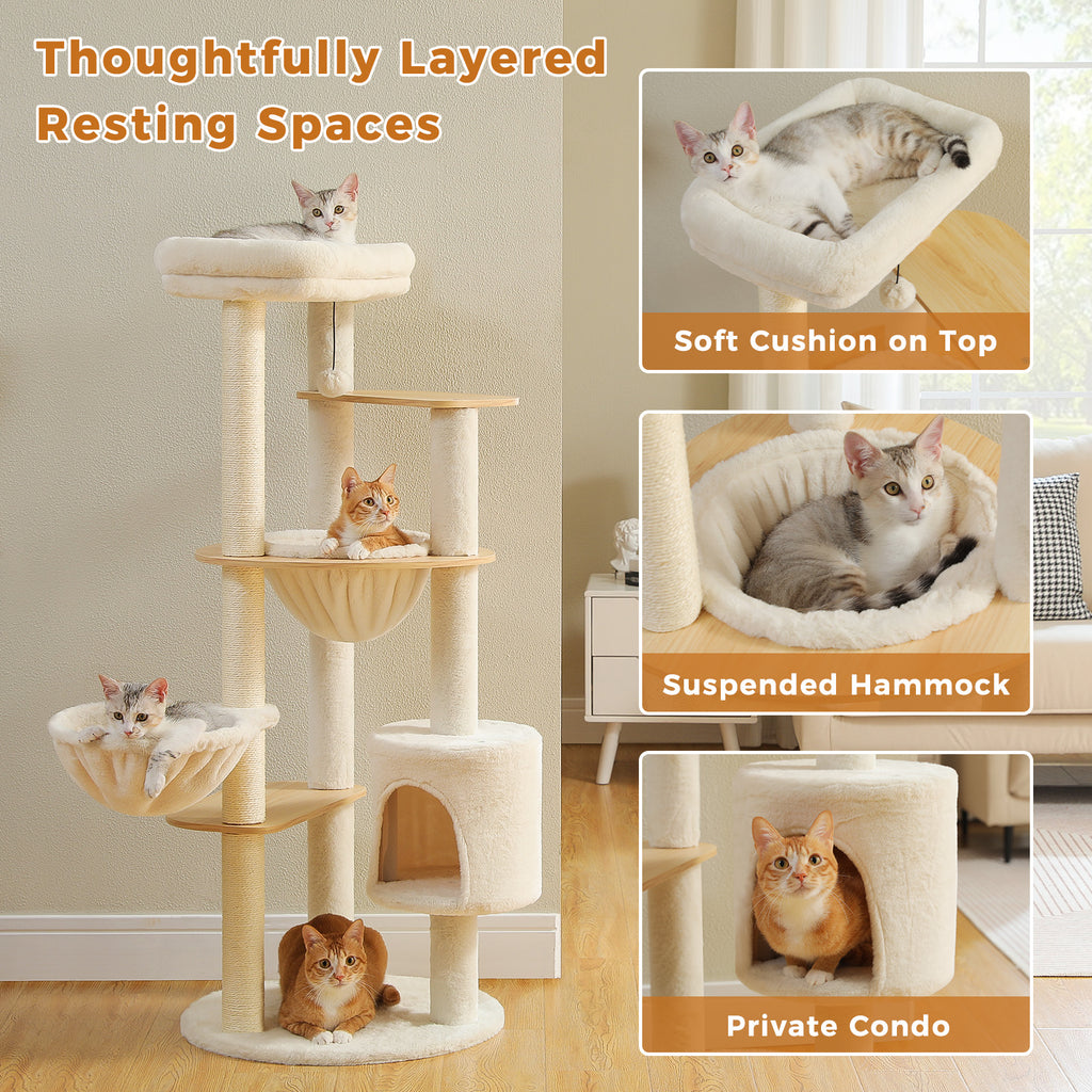 Feature graphic of layered resting spaces with soft top cushion, suspended hammocks and private condo, five cats in view