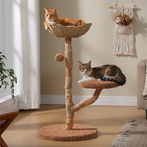 Orange tabby rests in the wicker basket while a calico cat lounges on the plush platform of the natural wood tree