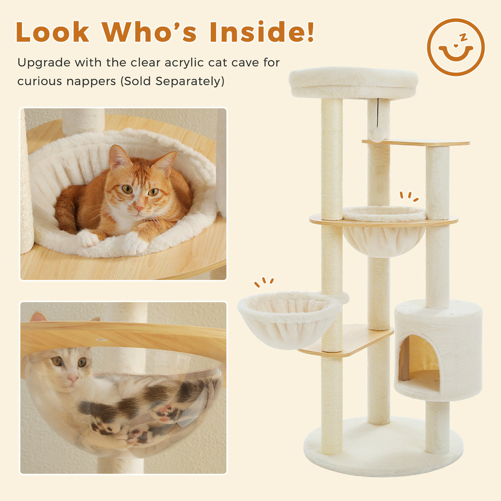 Upgrade graphic of the clear acrylic cat cave in the platform, white cat curled inside, header Look Who Is Inside