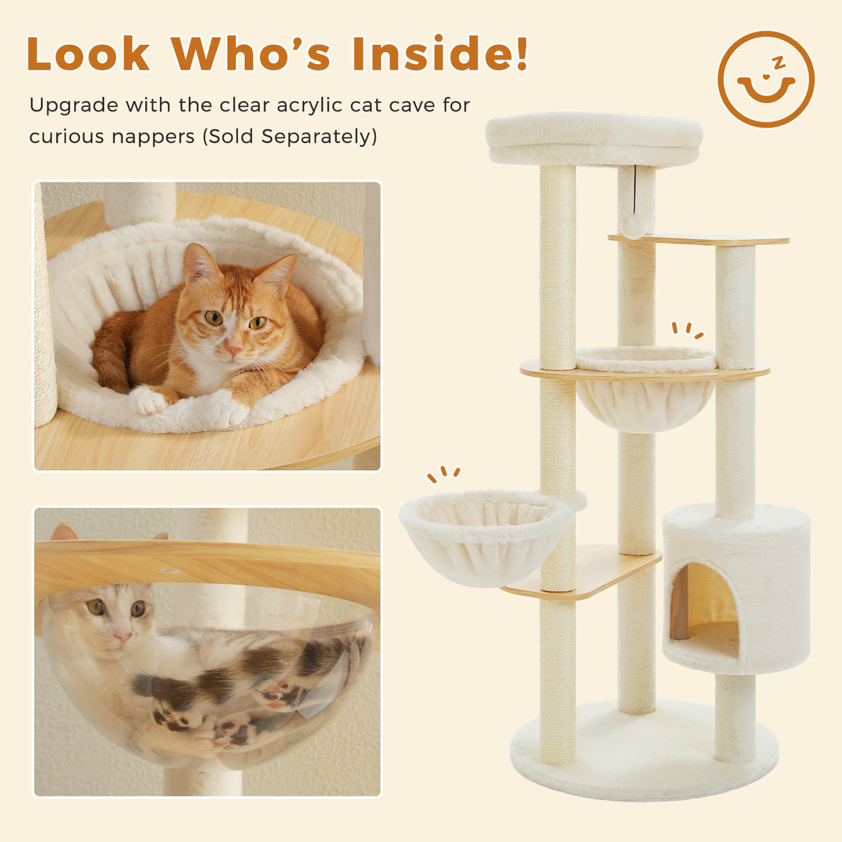 Upgrade graphic of the clear acrylic cat cave in the platform, white cat curled inside, header Look Who Is Inside