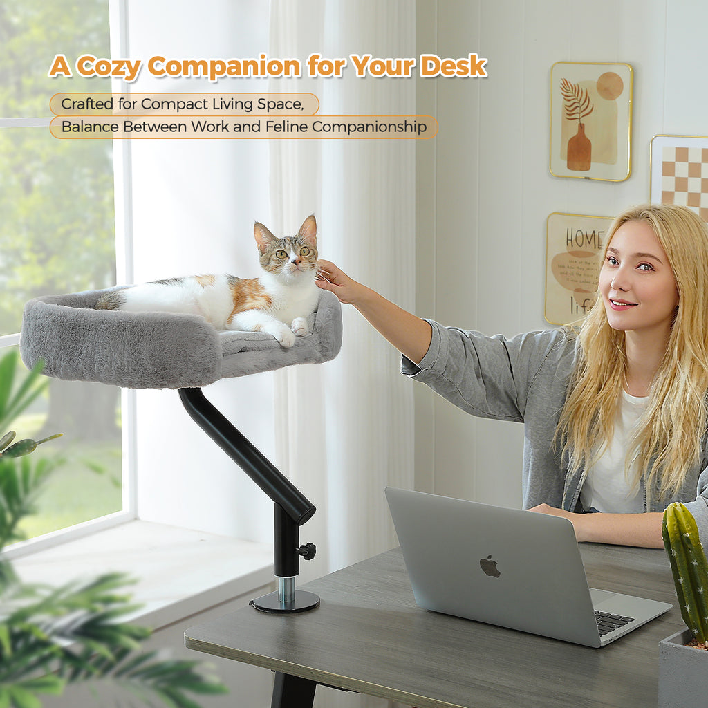 Woman working on a laptop while gently petting a calico cat napping in a grey clamp-on desk bed by the window