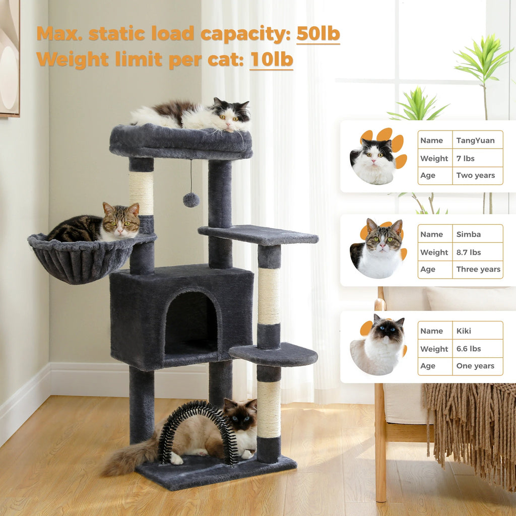 Compact grey cat tree with three cats and tags TangYuan, Simba and Kiki noting 50 lb load and 10 lb per-cat weight limit