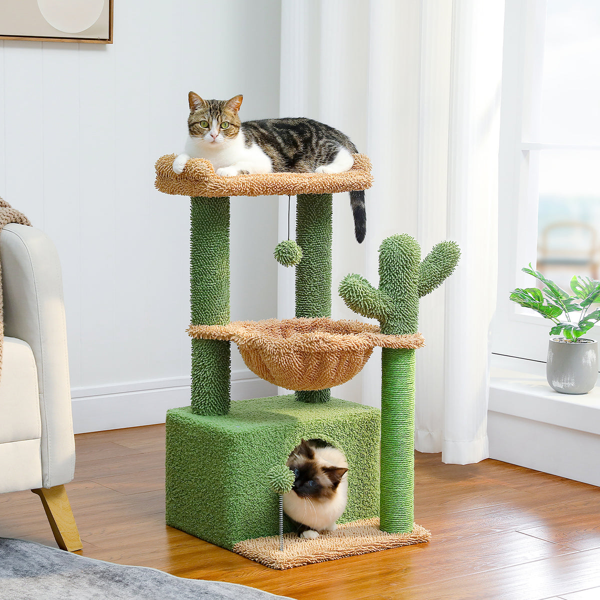 Green cactus Cozy cat tree in a bright room with tabby on the top perch and a pointed cat peeking from the condo