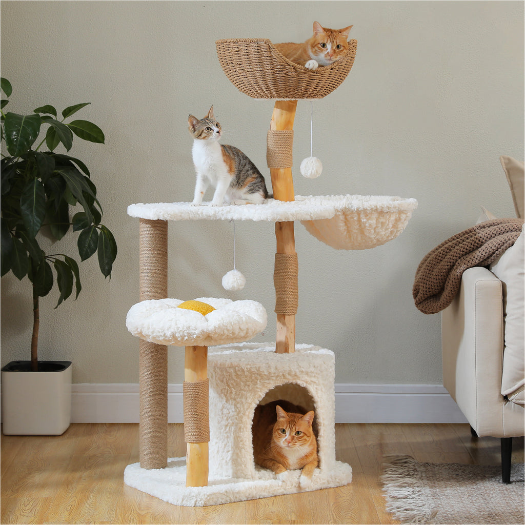 Three cats on the natural wood cat tree 123cm, ginger in the woven top basket, calico kitten climbing, bright room