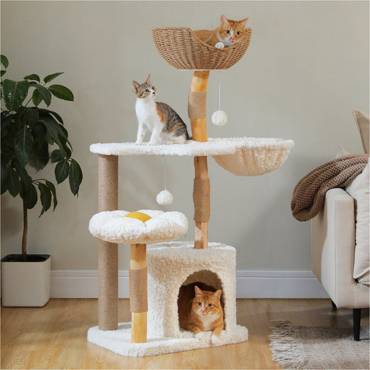 Three cats on the natural wood cat tree 123cm, ginger in the woven top basket, calico kitten climbing, bright room