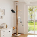 Beige floor-to-ceiling cat tree 200-261cm with clear capsule pod, three cats playing in a bright living room