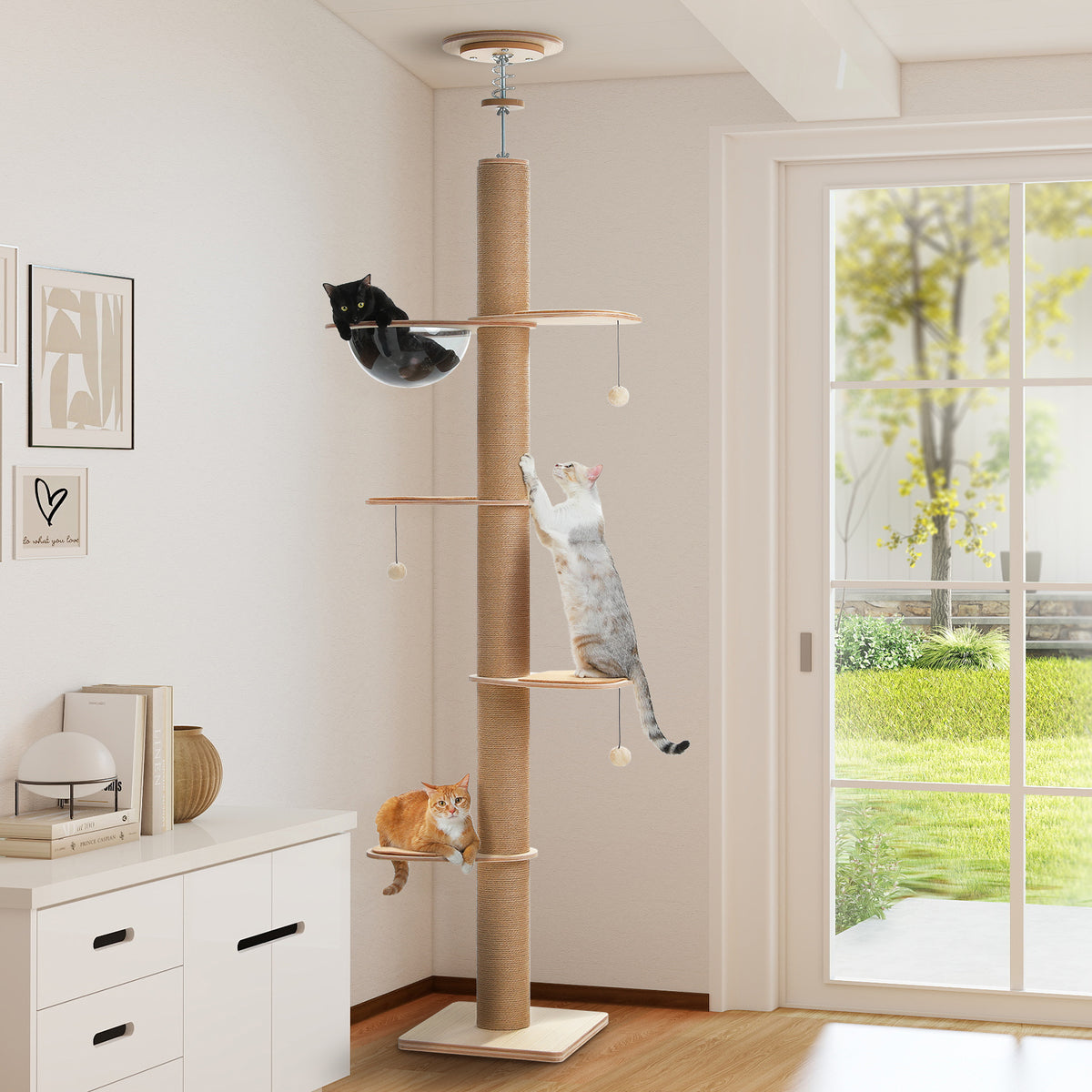 Beige floor-to-ceiling cat tree 200-261cm with clear capsule pod, three cats playing in a bright living room