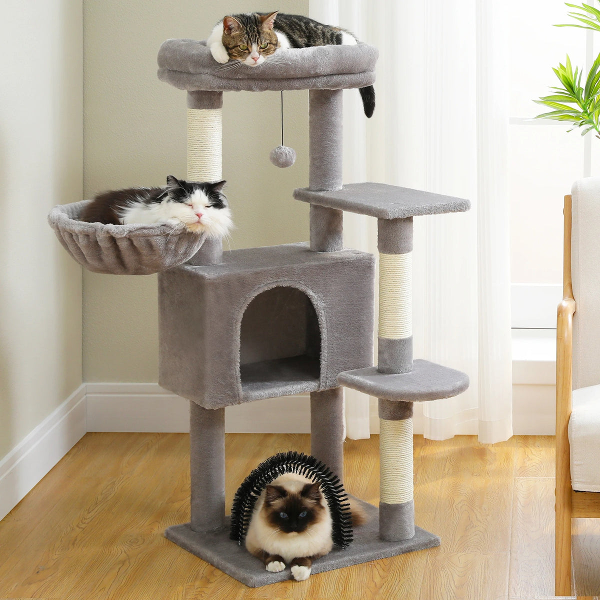 Grey Compact cat tree beside a window where tabby, fluffy and pointed cats nap on perch, hammock and grooming arch