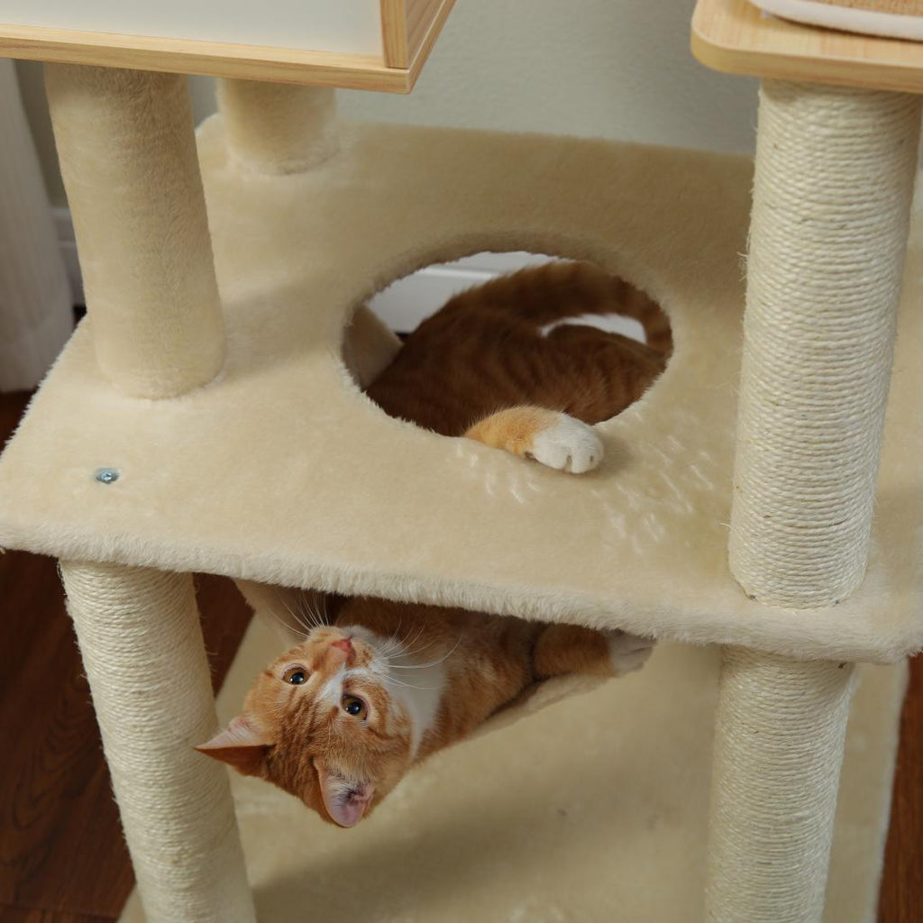 Two ginger tabbies on a Nordic cat tree, one pawing through the round platform opening and one resting in the hammock