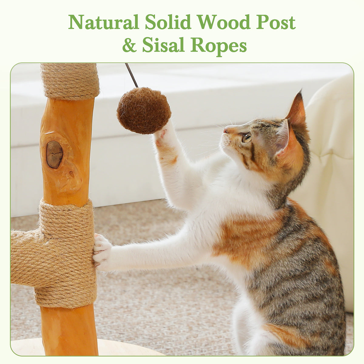 Kitten scratching the natural solid wood palm post wrapped in sisal rope, green material label text