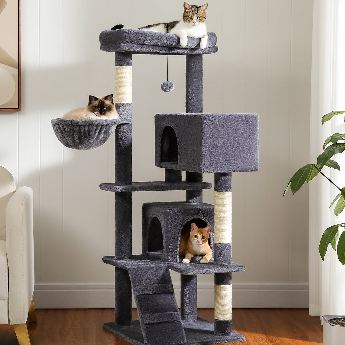 Dark grey 143cm cat tower in a living room, tabby on the top perch, Siamese in the hammock and ginger in the condo