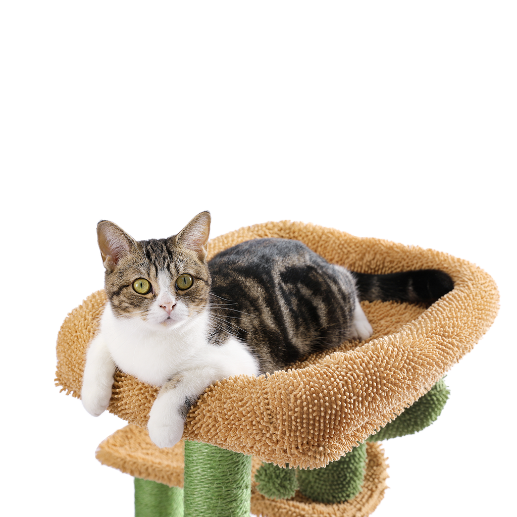 Cactus Cat Tree 97.5cm - Compact Desert-Themed Play Tower