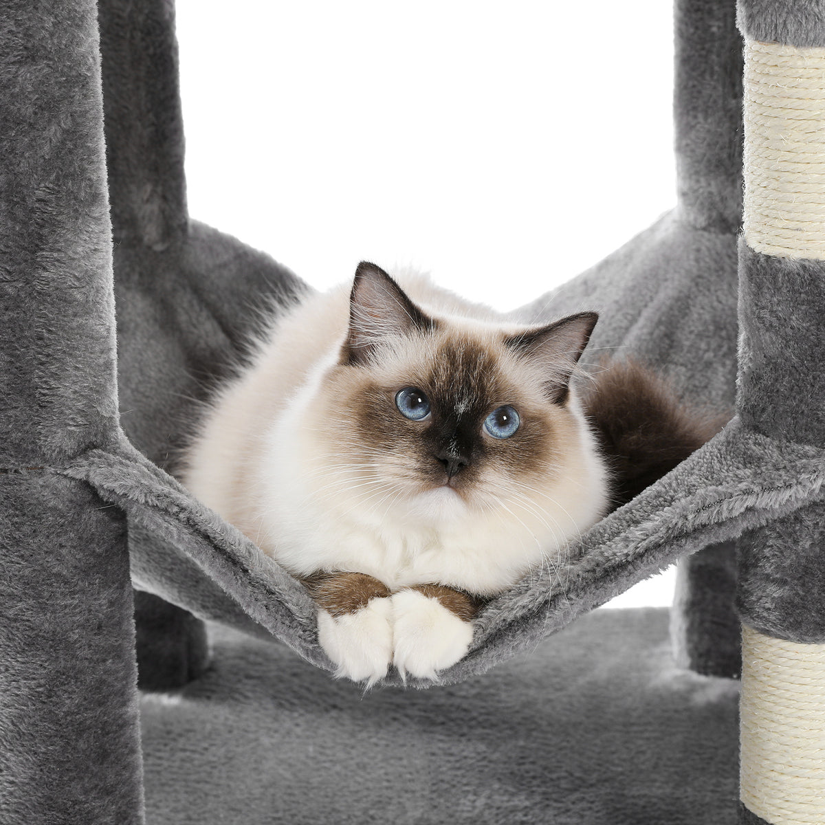 Fluffy blue-eyed seal-point cat tucked in a grey plush hammock, studio photo of a cat-tree level on white