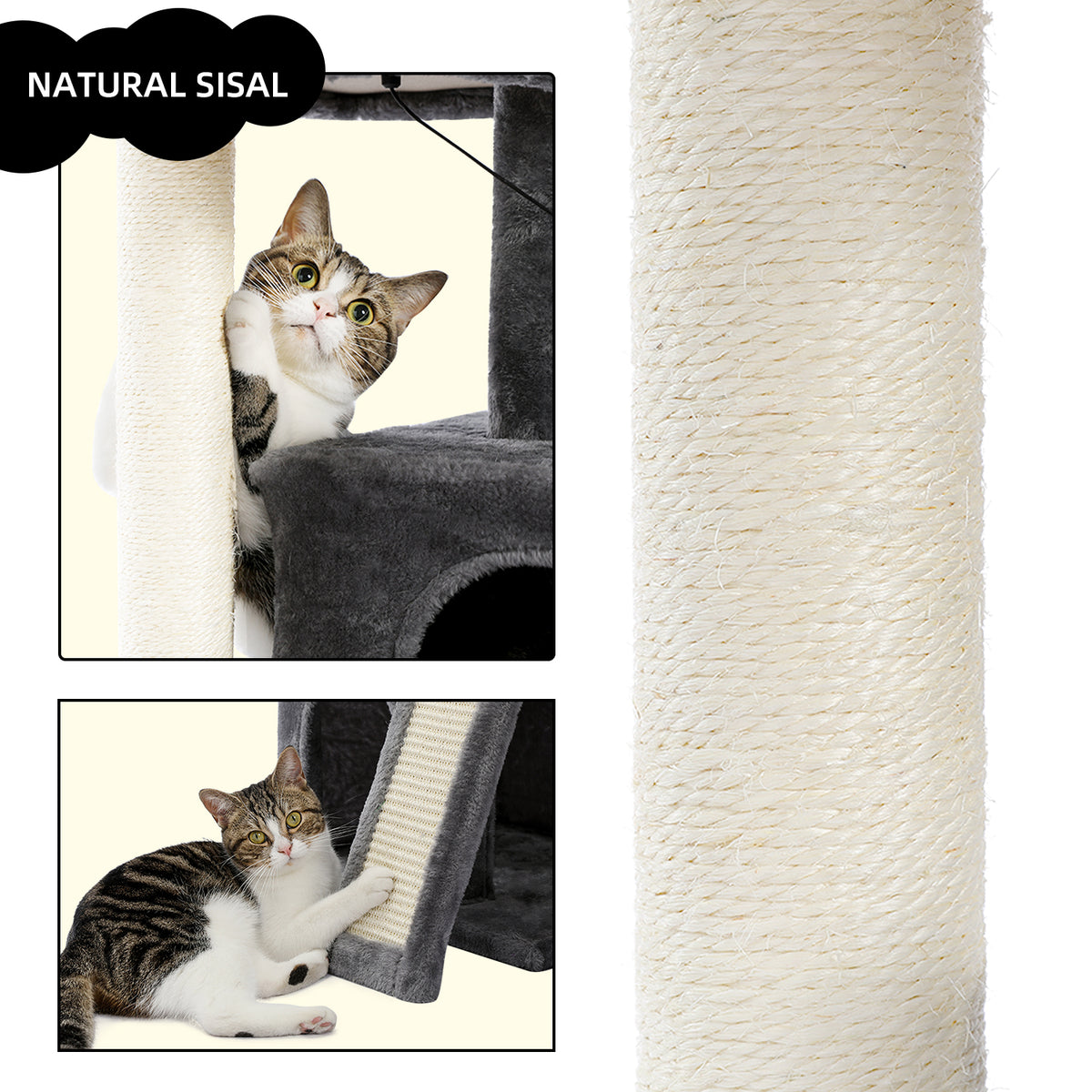 Natural sisal scratching post close-up with a tabby clawing the rope ramp in the labelled detail graphic