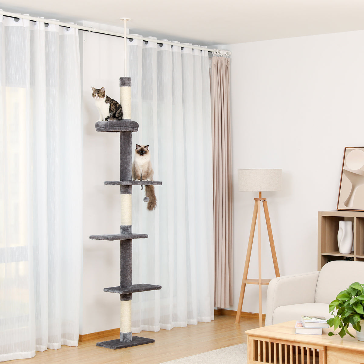 Slim charcoal grey floor-to-ceiling cat tower in a bright living room, tabby on the rimmed top perch and Siamese below