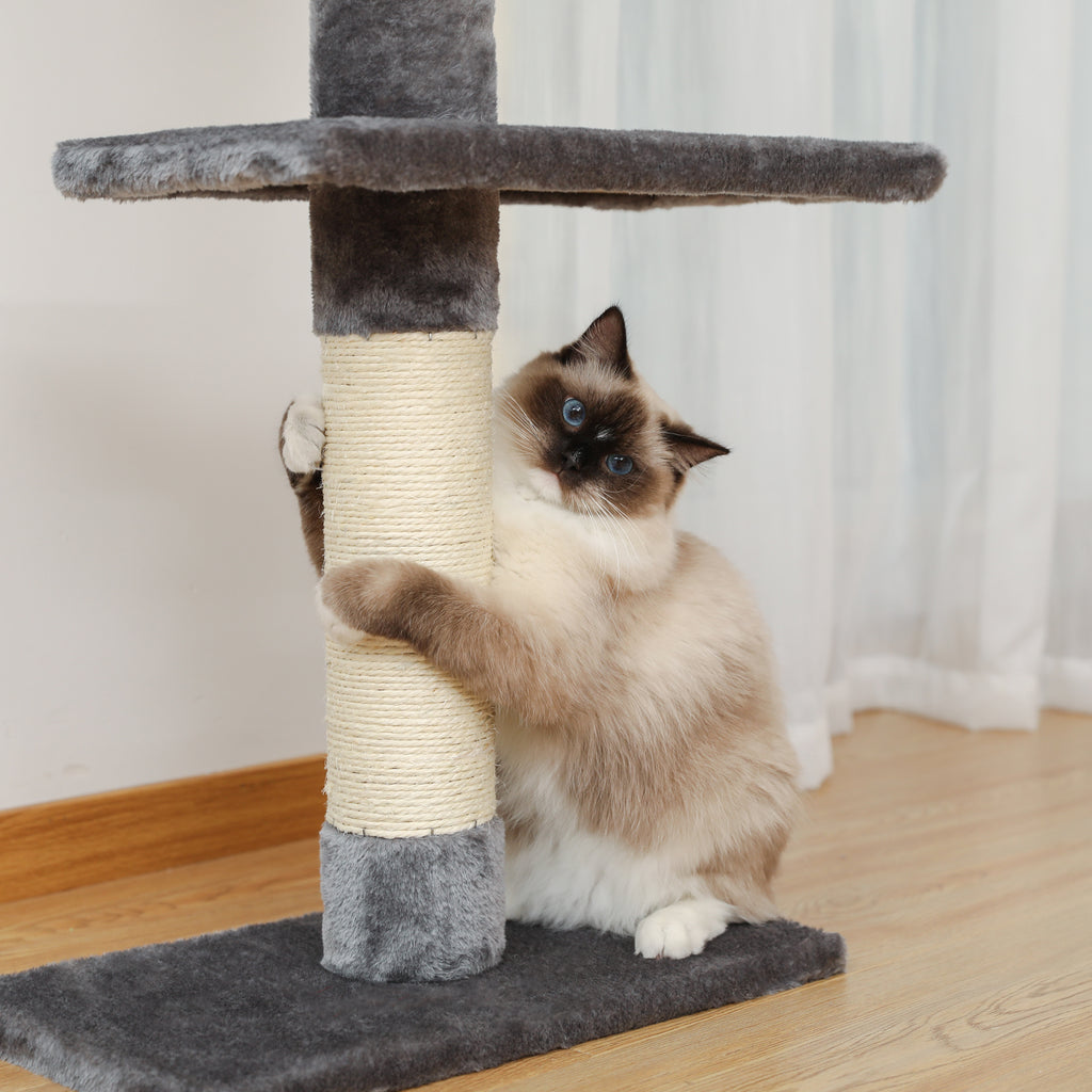 Fluffy seal-point cat hugging the cream sisal scratching post of the grey cat tree and tilting its head to camera