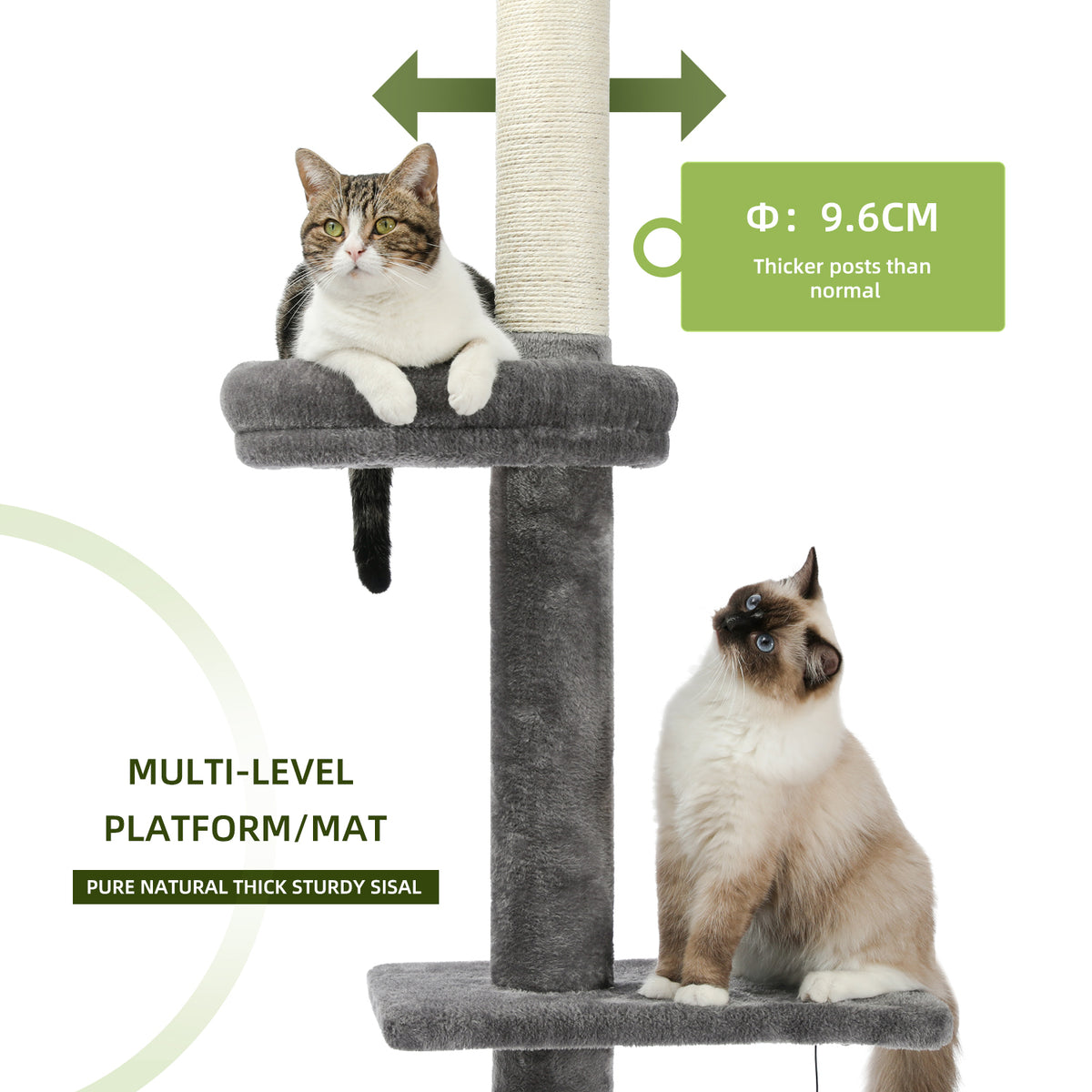Tabby and white cat in the padded oval top perch of the grey cat tower above a thick natural sisal scratching post