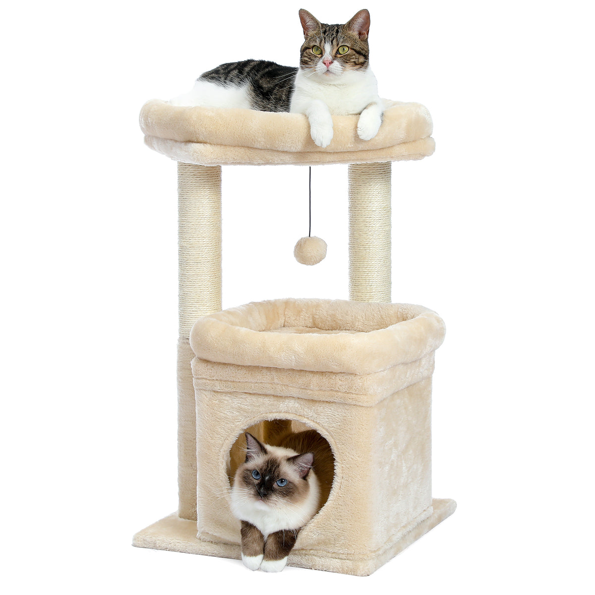 Studio shot of a beige plush cat tree, tabby-and-white cat on the top bed and a seal-point kitten at the condo door