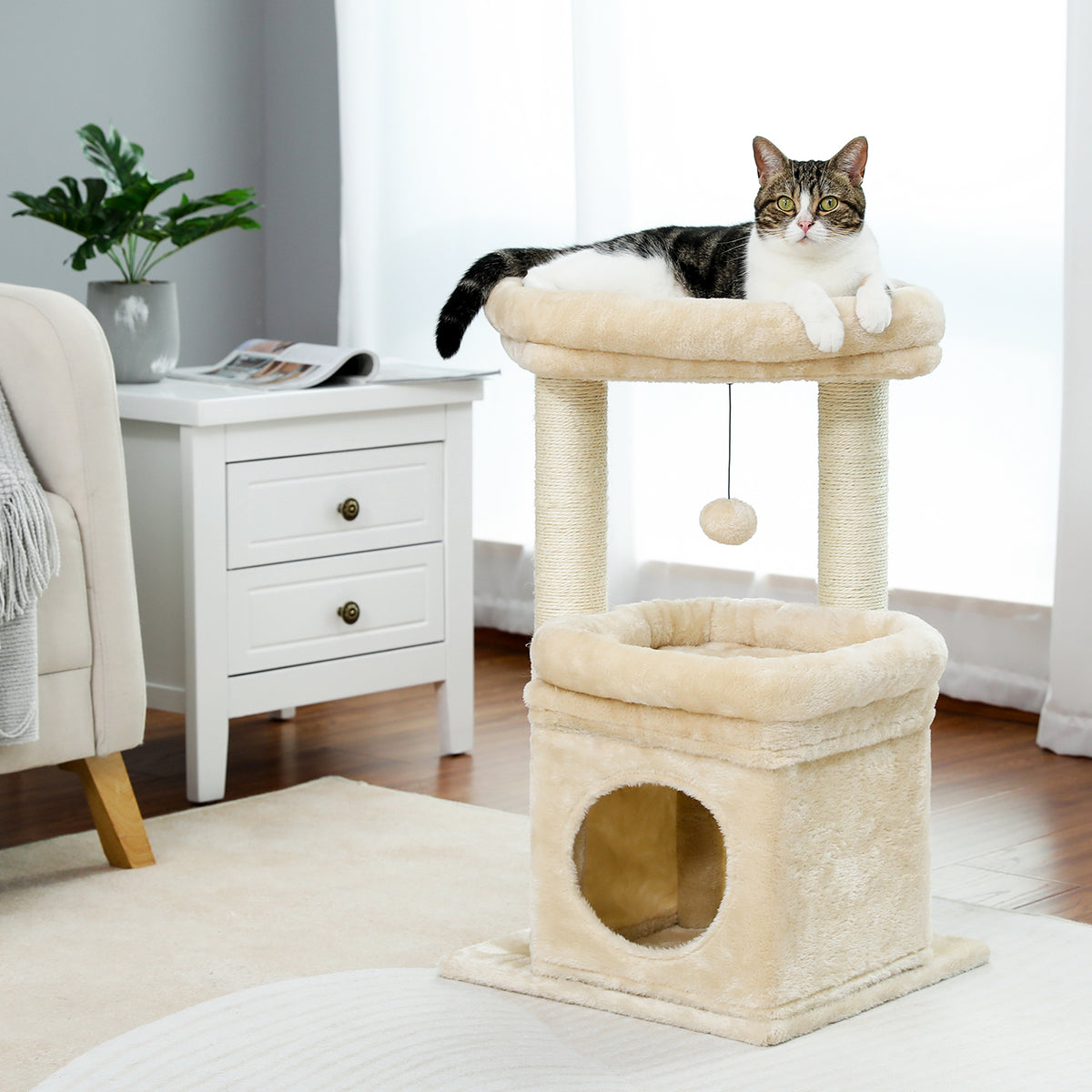 Cream plush cat tree with bolster-top bed and sisal posts, tabby-and-white cat resting on top facing the camera