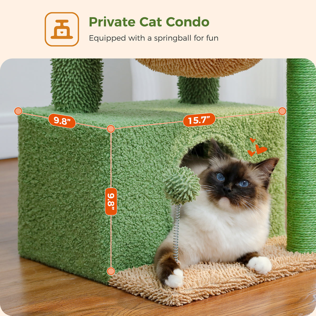 Seal point cat lounges by the round entrance of a green Cozy cat condo with spring ball and Private Cat Condo caption