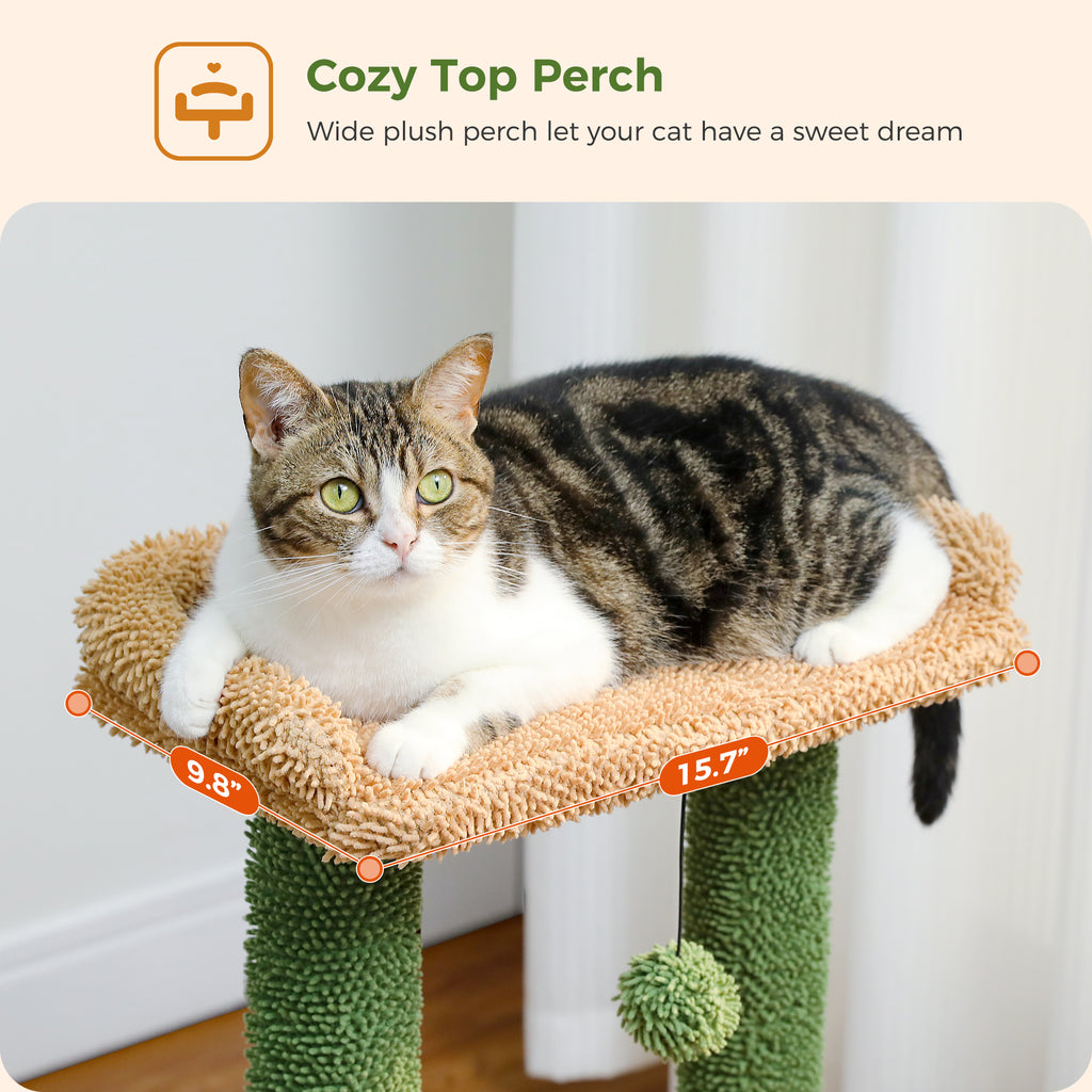 Tabby cat rests on the beige shaggy top perch of a cactus Cozy cat tree under a Cozy Top Perch caption with dimensions