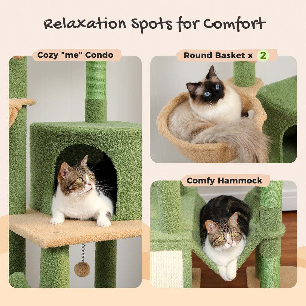Relaxation-spot graphic: tabby cat in the green condo, fluffy Siamese in a round basket and tabby in the comfy hammock