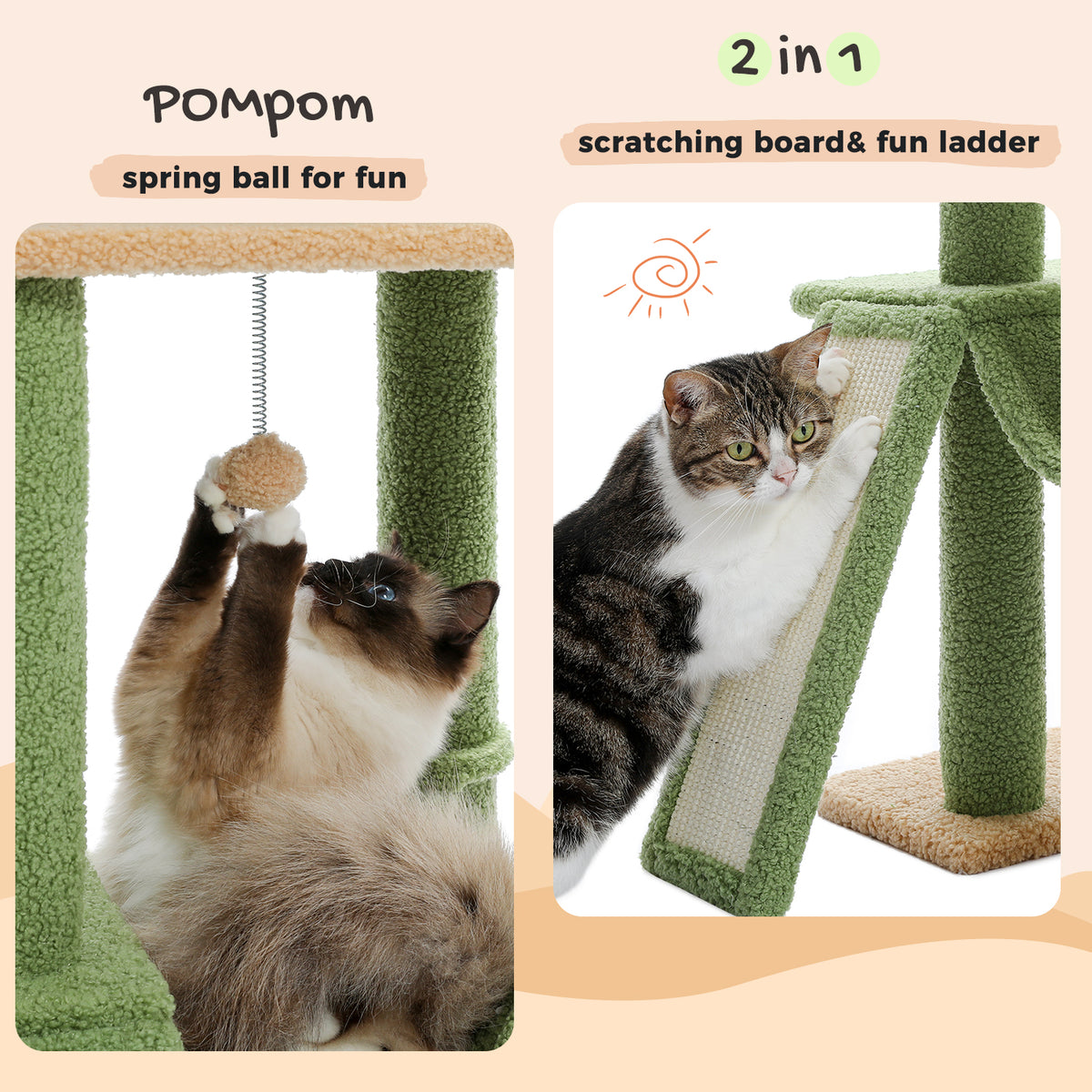 Two-panel graphic: Siamese cat batting a spring pompom ball and tabby cat scratching the 2-in-1 ladder board