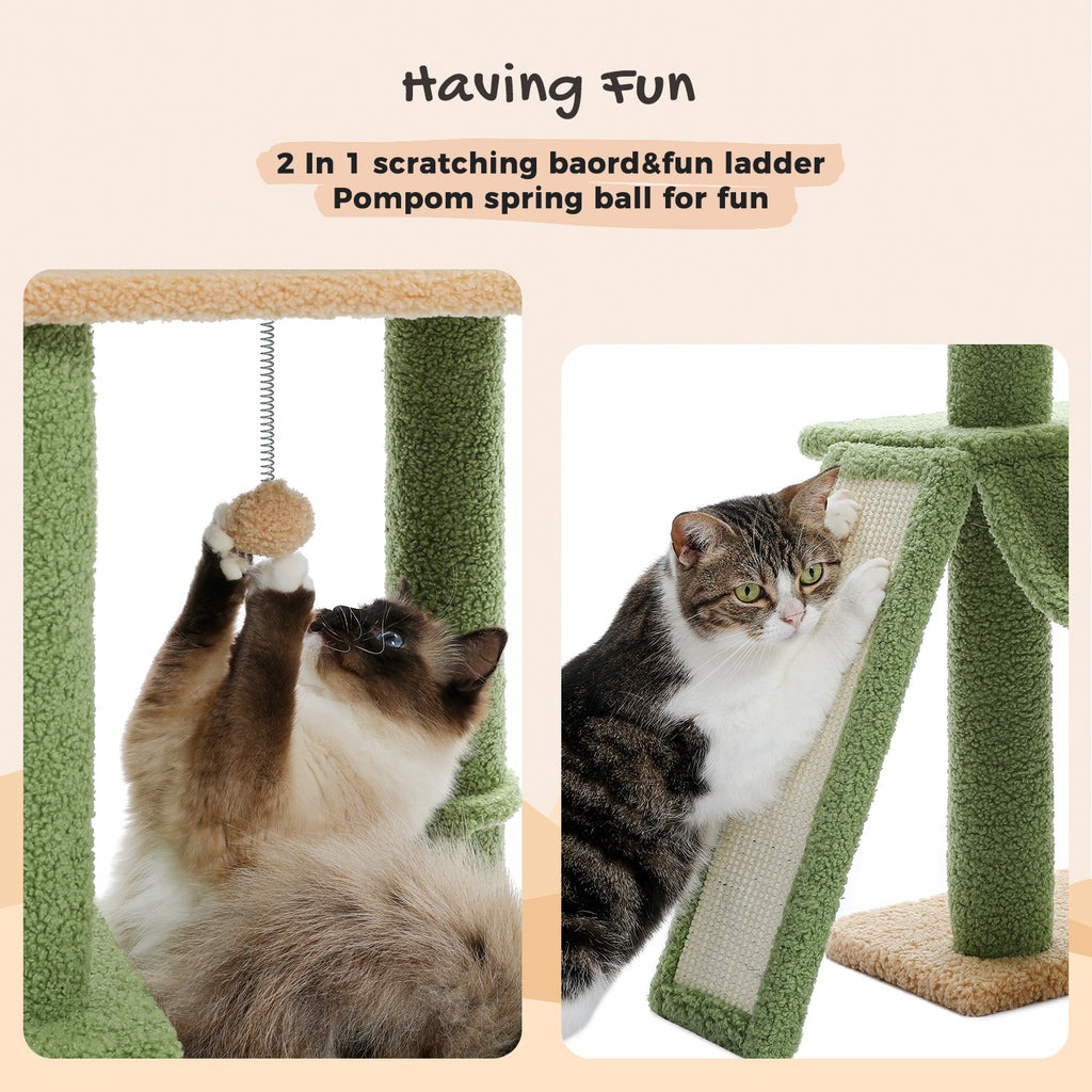 Having Fun graphic of the green cactus tree, cats playing with the spring pompom and the 2-in-1 scratching board ladder