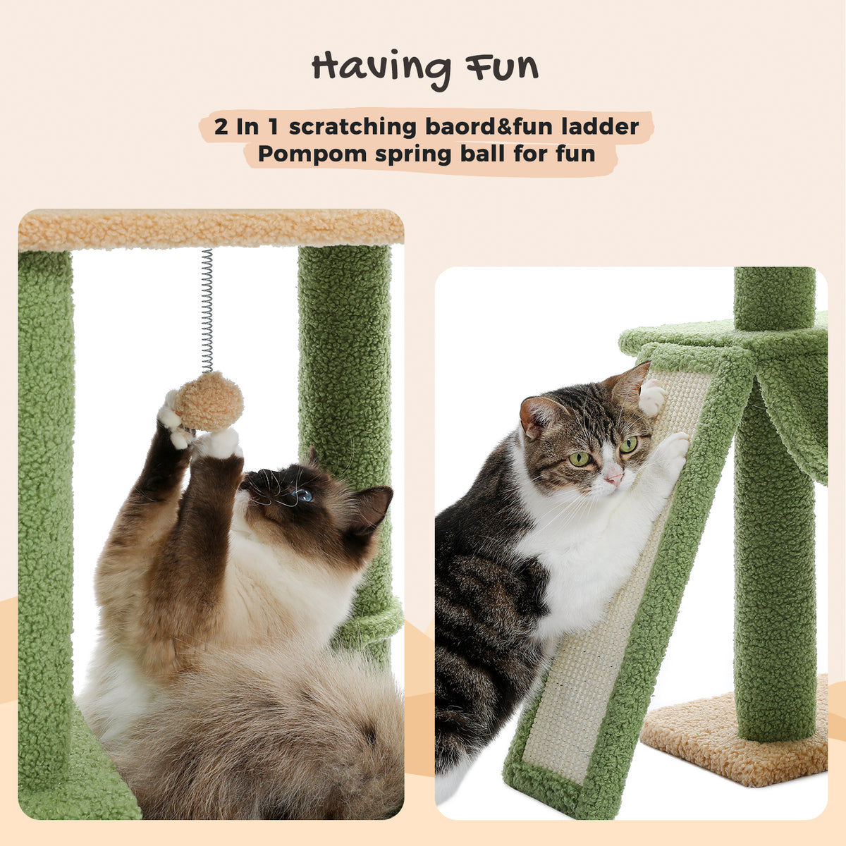 Having Fun graphic of the green cactus tree, cats playing with the spring pompom and the 2-in-1 scratching board ladder