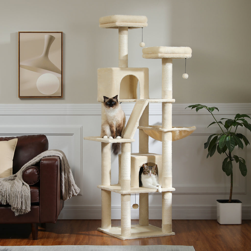 Beige 180cm wide six-level cat tree in living room with point cat by the ramp and tabby resting in the lower condo