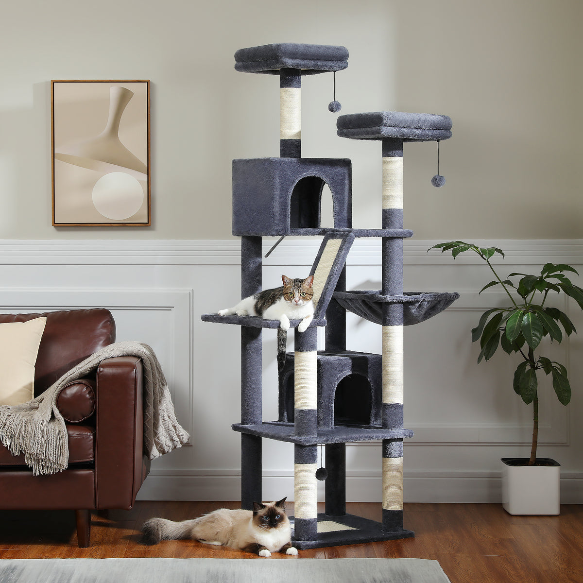 Dark-grey 180cm wide cat tree in modern living room with tabby, cream sisal posts, hammock, two condos