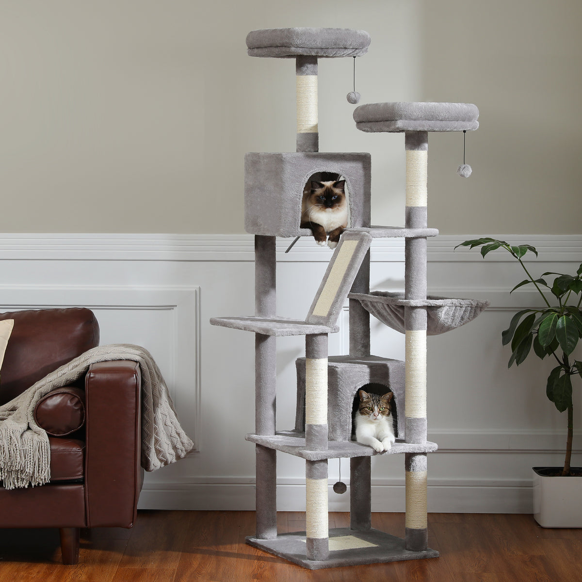 Grey 180cm wide six-level cat tree with two condos, hammock and ramp, two cats in a bright living room