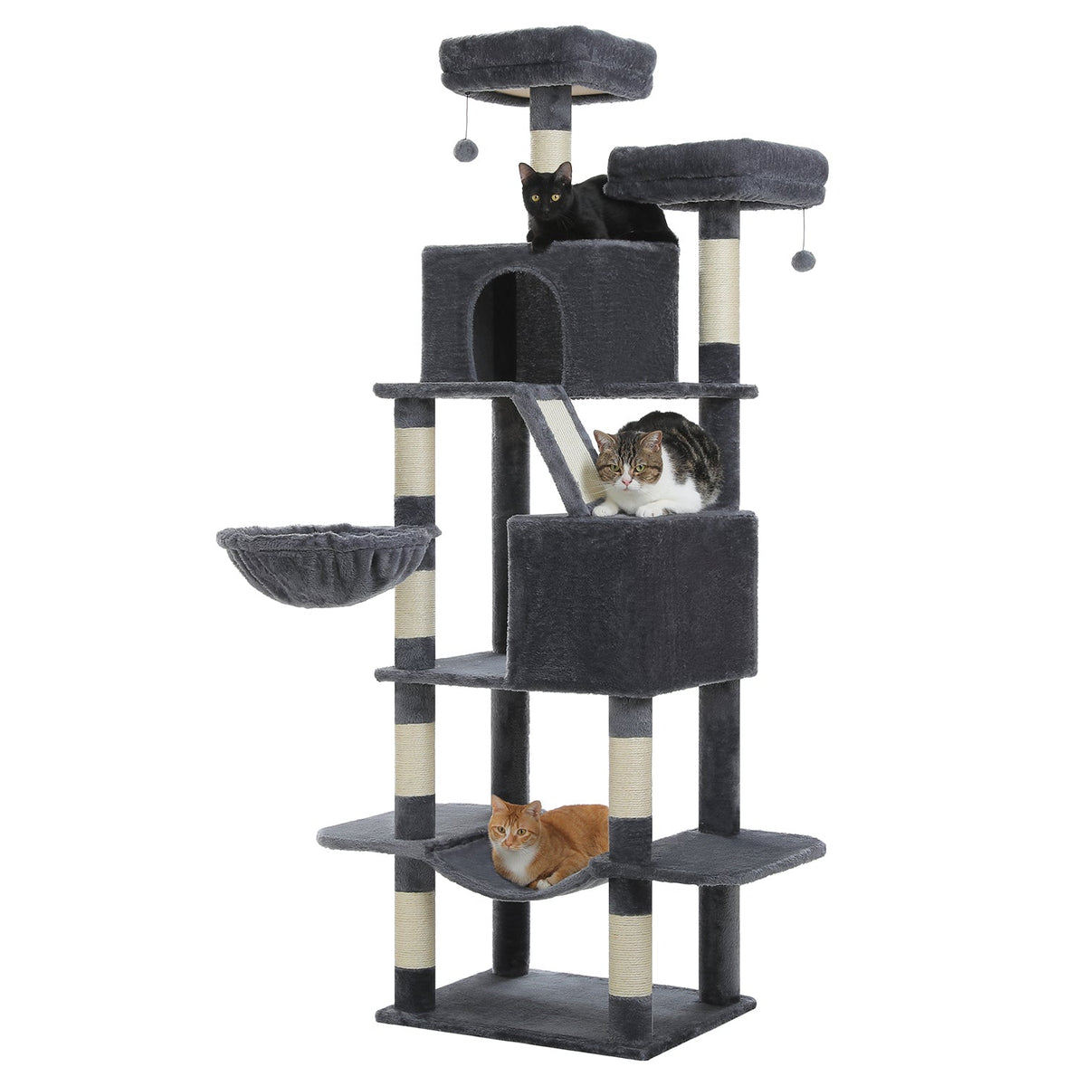 Tall dark grey cat tree with twin panoramic perches in a bright room, black cat and three tabbies resting at different levels