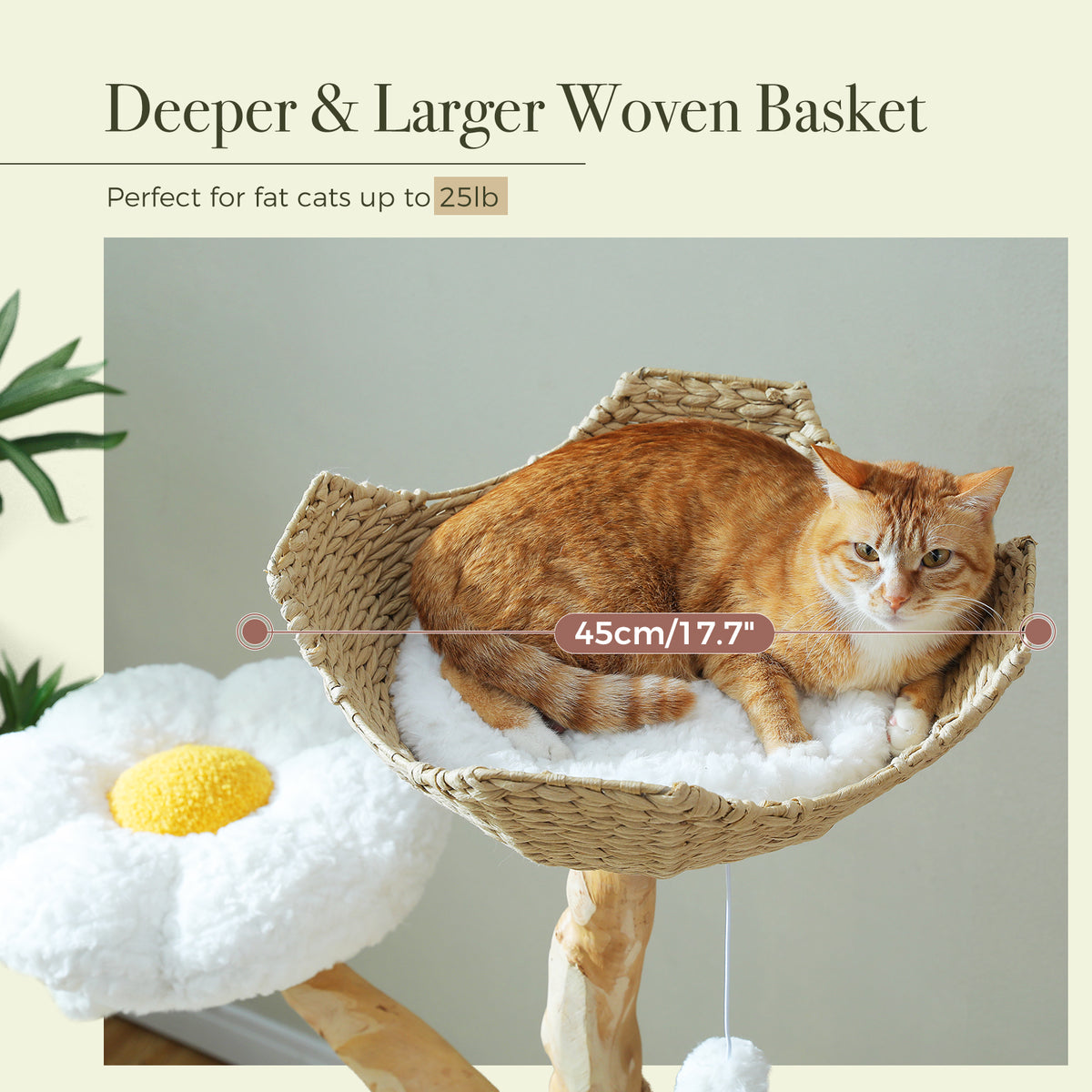 Orange tabby cat curled in the deep woven basket perch of the natural wood cat tree with size tag