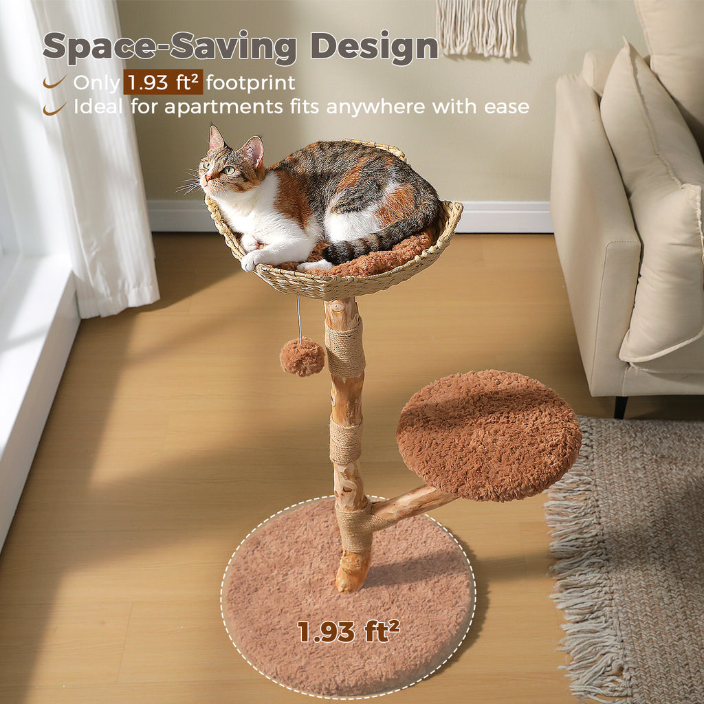 Calico cat lounges in the wicker basket perch; space-saving caption notes only 1.93 square foot footprint