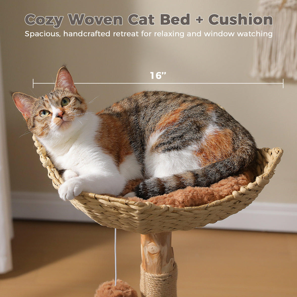 Calico cat rests in a woven wicker basket bed with plush cushion on a natural wood post; cozy bed caption
