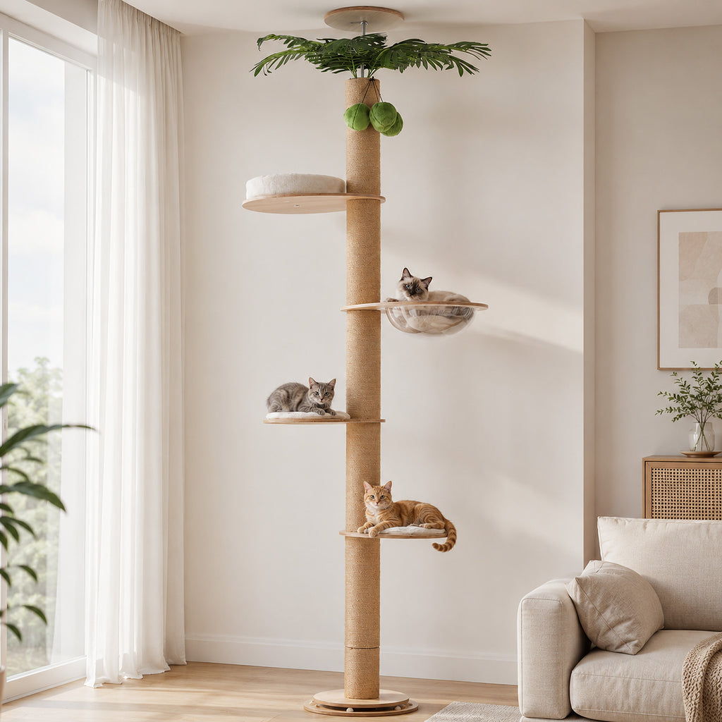 Palm floor-to-ceiling cat tree in a bright living room, seal-point cat resting in the clear space capsule
