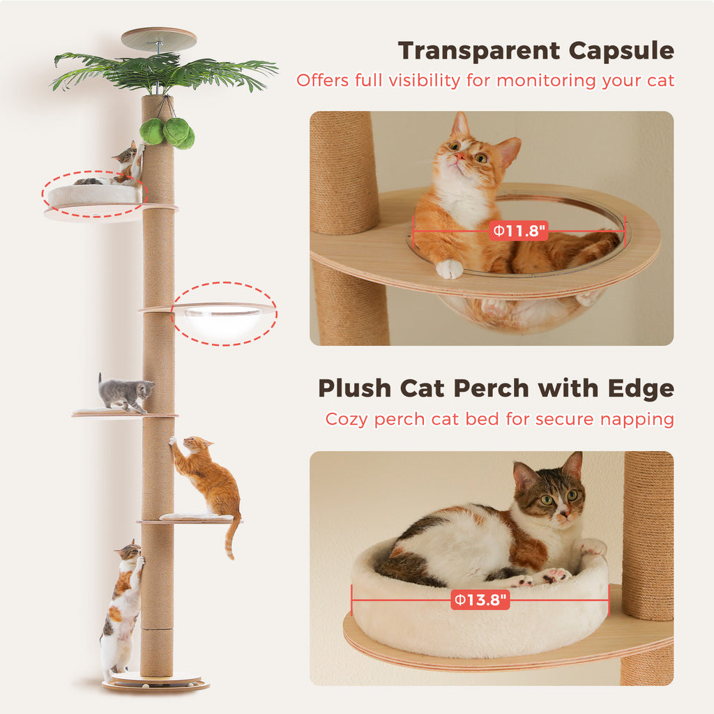 Feature graphic of the transparent capsule bowl and raised plush perch on the palm cat tree with size tags