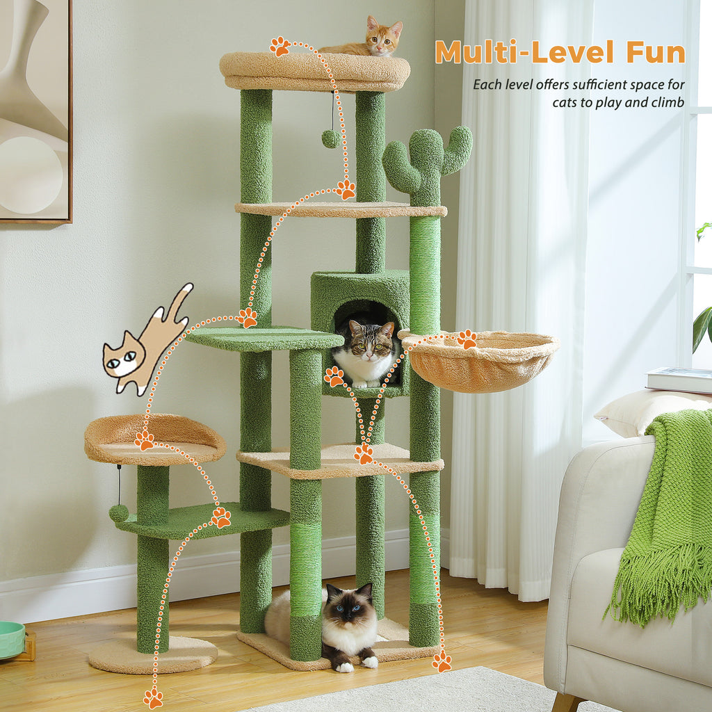 Green and beige wide multi-level cat tree with square condo and hammock, orange kitten on the top perch in a bright room