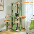 Green and beige wide multi-level cat tree with square condo and hammock, orange kitten on the top perch in a bright room