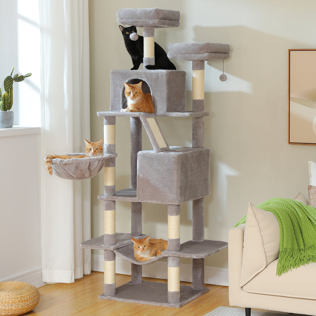 Tall grey cat tree with twin panoramic perches in a bright room, black cat and three tabbies resting at different levels