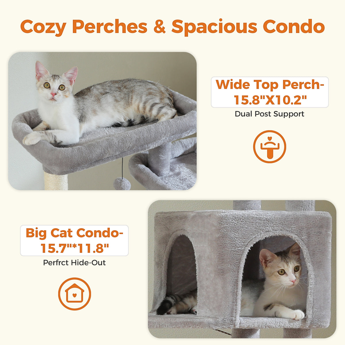 Grey tabby kitten shown on the wide dual-post top perch and inside a big arched condo in a labeled feature graphic