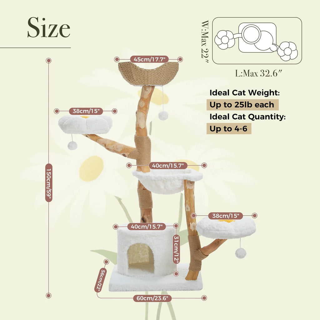 Size infographic of the 150cm natural wood cat tree with dimension callouts on a daisy background